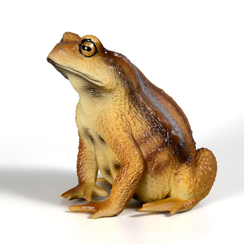 Figur Katak Amfibi Model Seran - Kids First Education ulasan dan harga