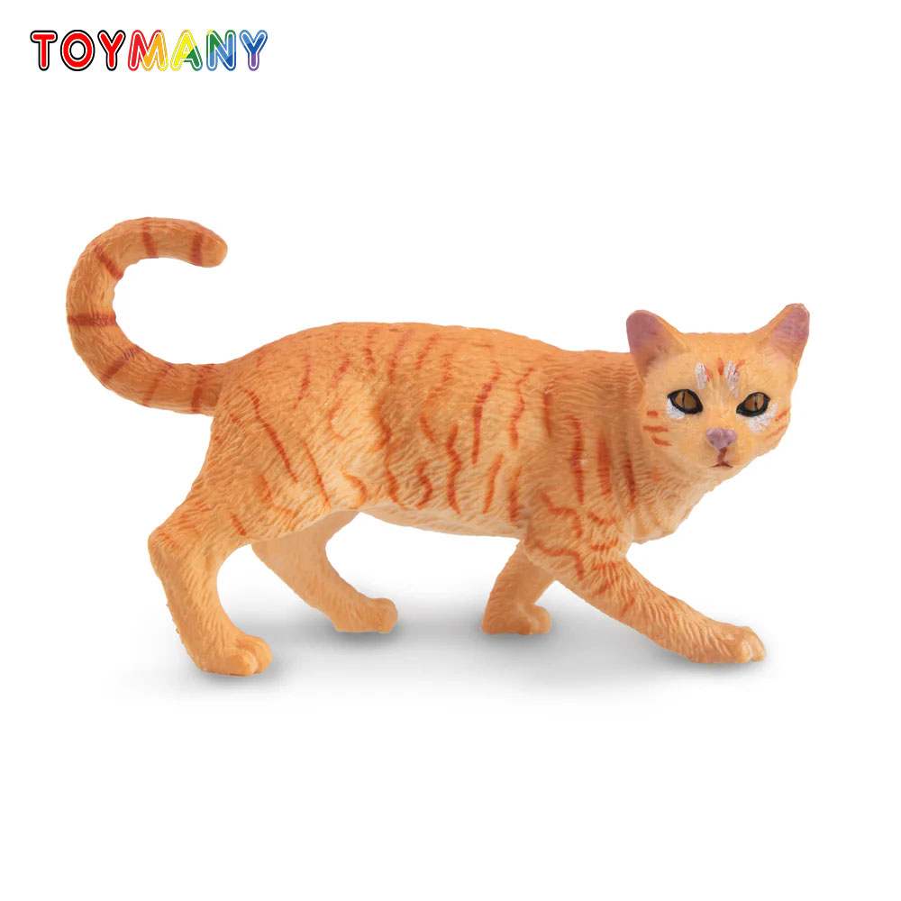 Toymany Mainan Model Hewan Pel - Kids First Education ulasan dan harga